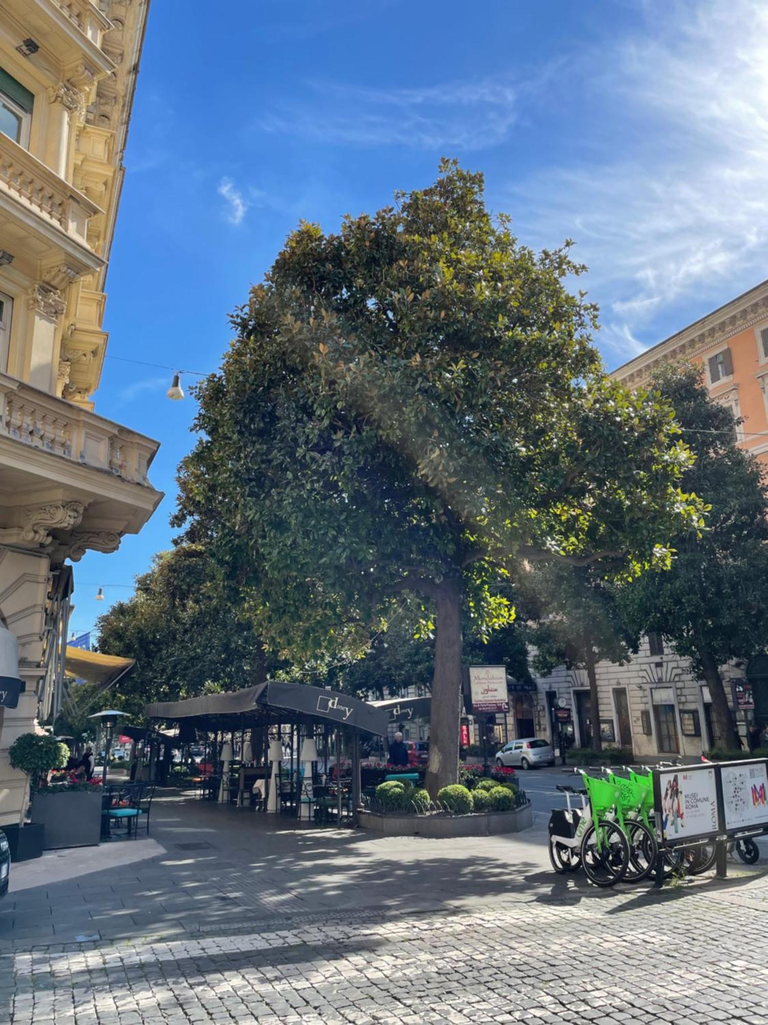 Dolcevita'S House روما المظهر الخارجي الصورة